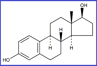 Ethinylestradiol EP Impurity D/17b-Estradiol